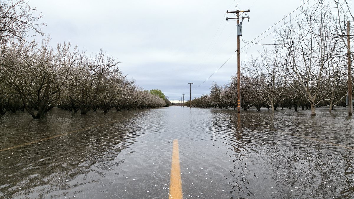 Sacramento could be headed for 'mass abandonment' for disturbing new reason