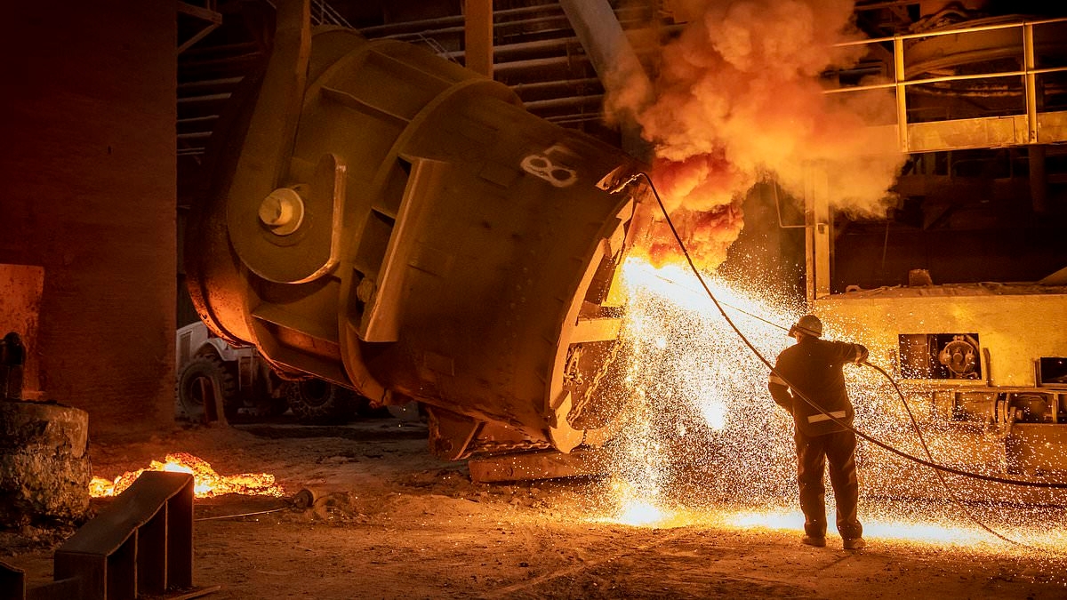 Tariff-hit steel maker Tata begs for US trade deal