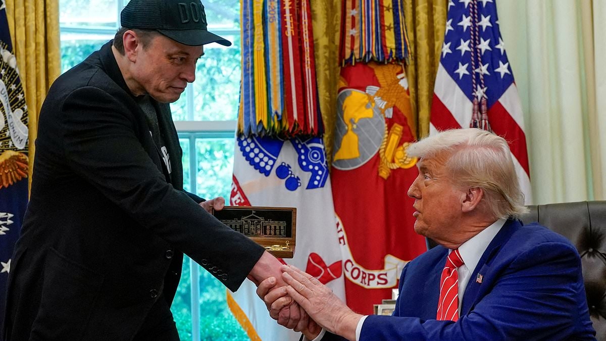 Explosive truth behind Trump and Musk's 'abusive' bromance collapse... and which billionaire was secretly the CLINGY one