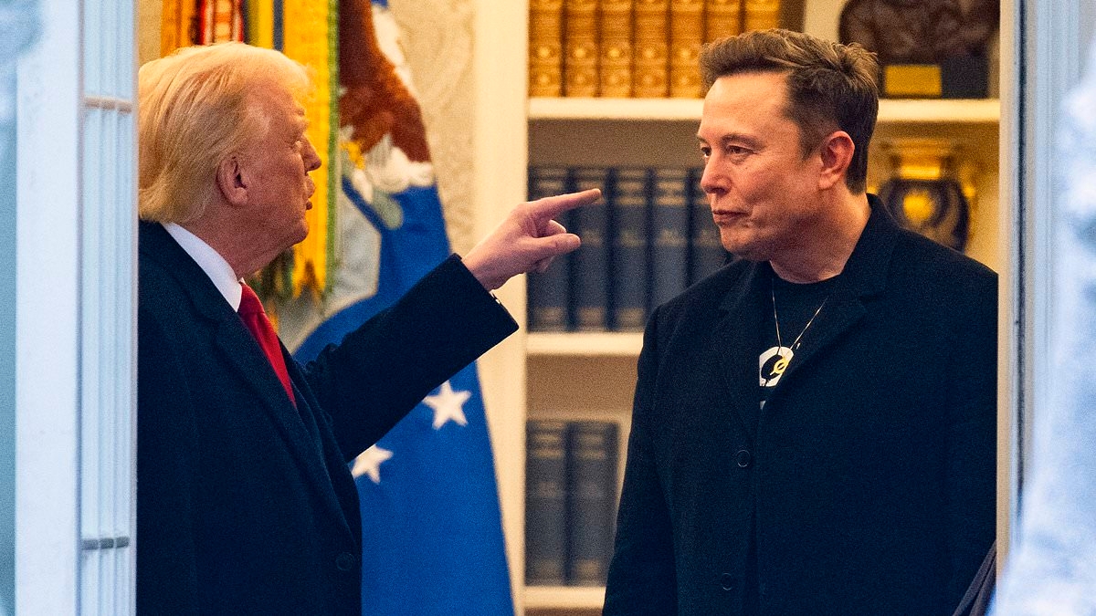EXCLUSIVE Poll reveals whether Americans stand with Trump or Musk as feud spirals