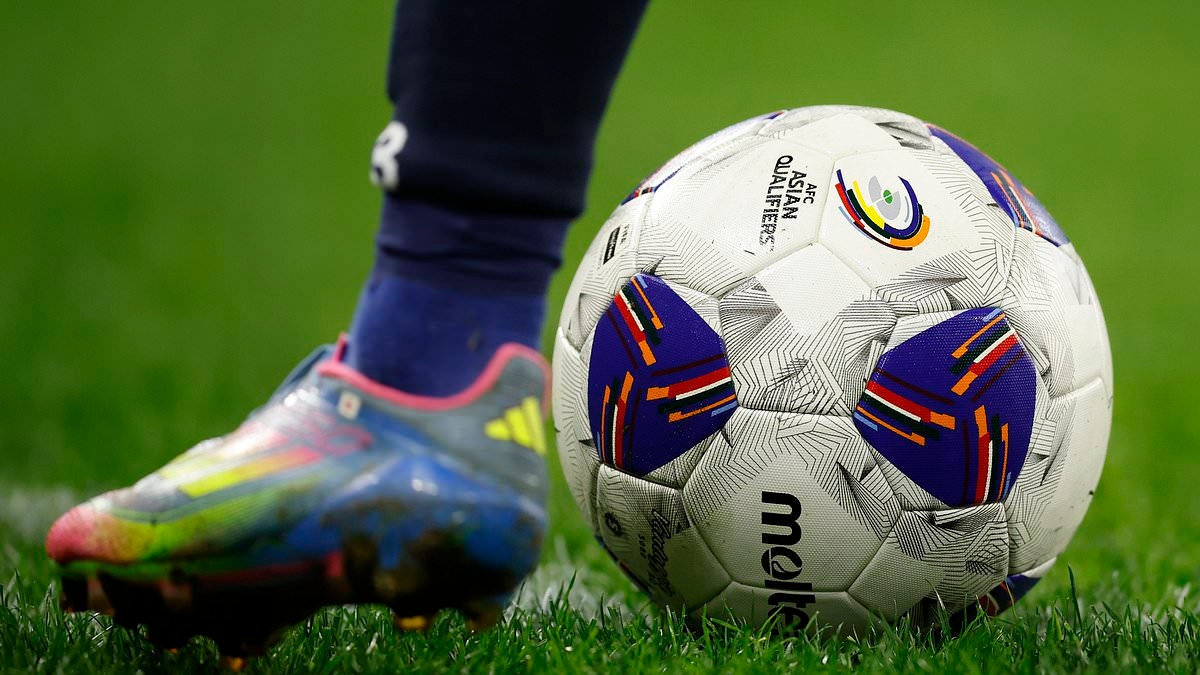 Football Australia to face integrity investigation after two match-fixing scandals in the space of 12 months