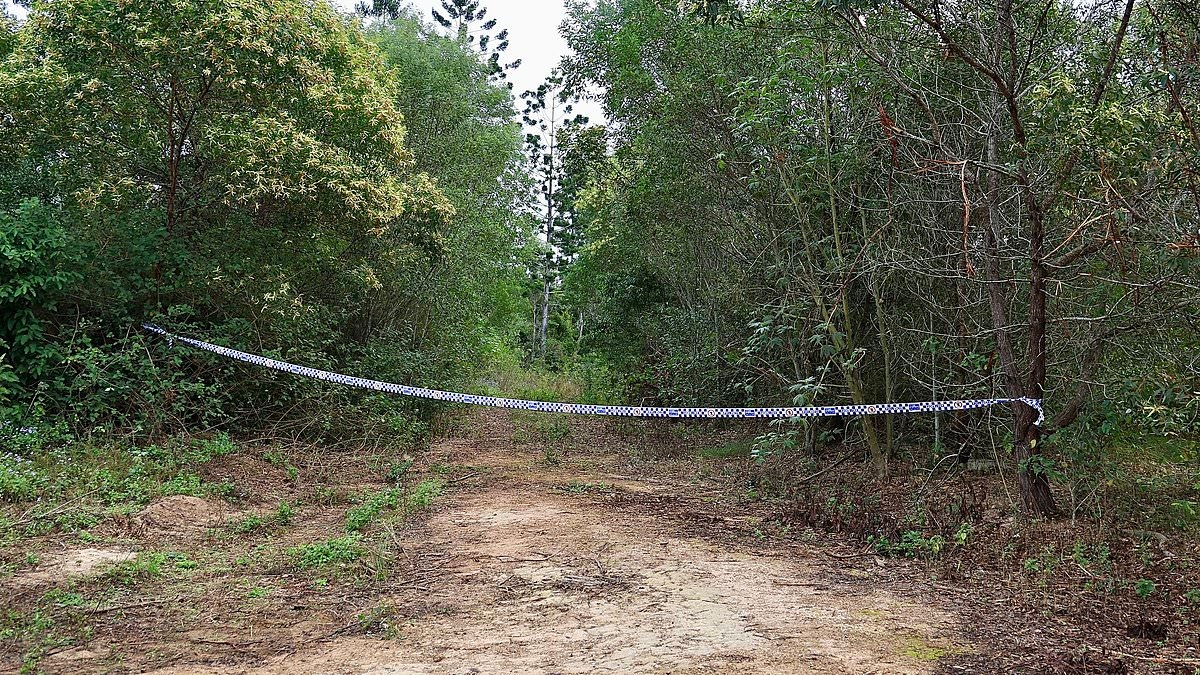 EXCLUSIVE The gruesome reality of Pheobe's final resting place: The incredibly remote bushland overrun with wild dogs and pigs where the missing teen's body is believed to have lay for three weeks