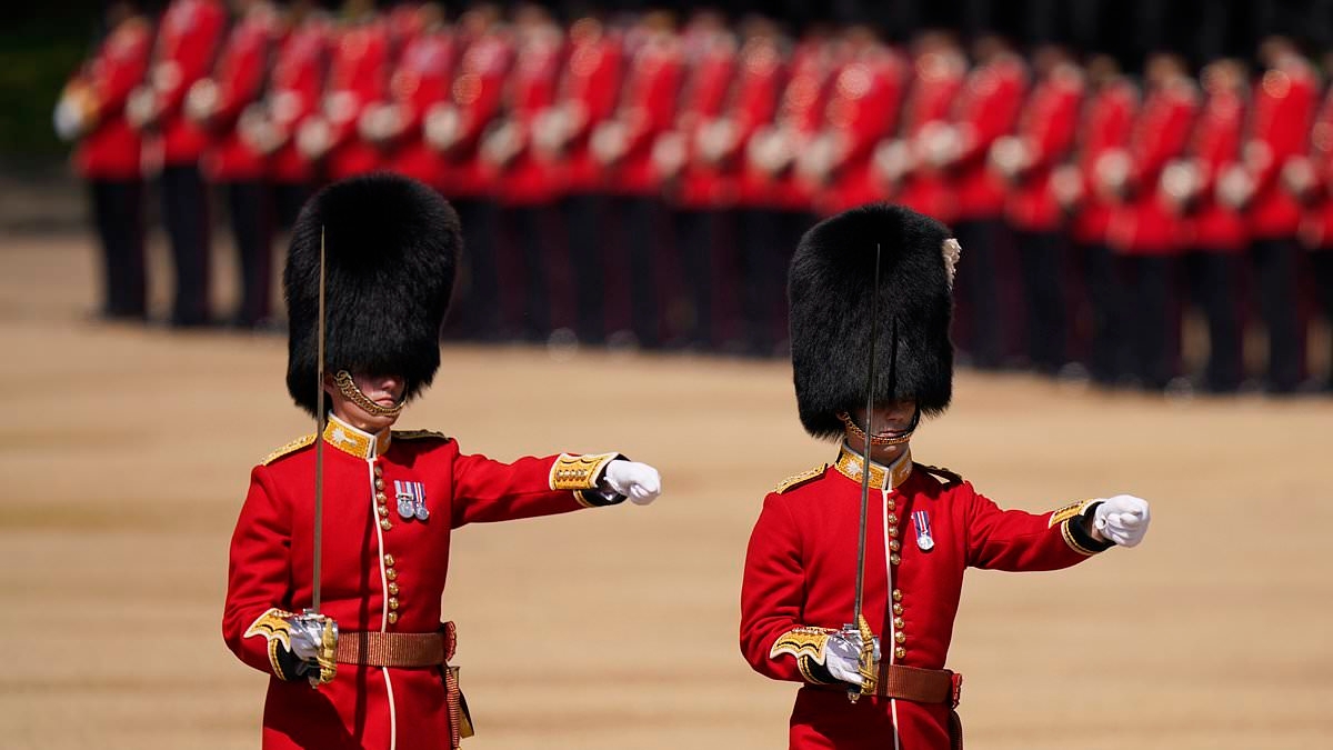 Police foil terror plot on King's Guards: 'Lone wolf' stopped from carrying out attack on Britain's streets