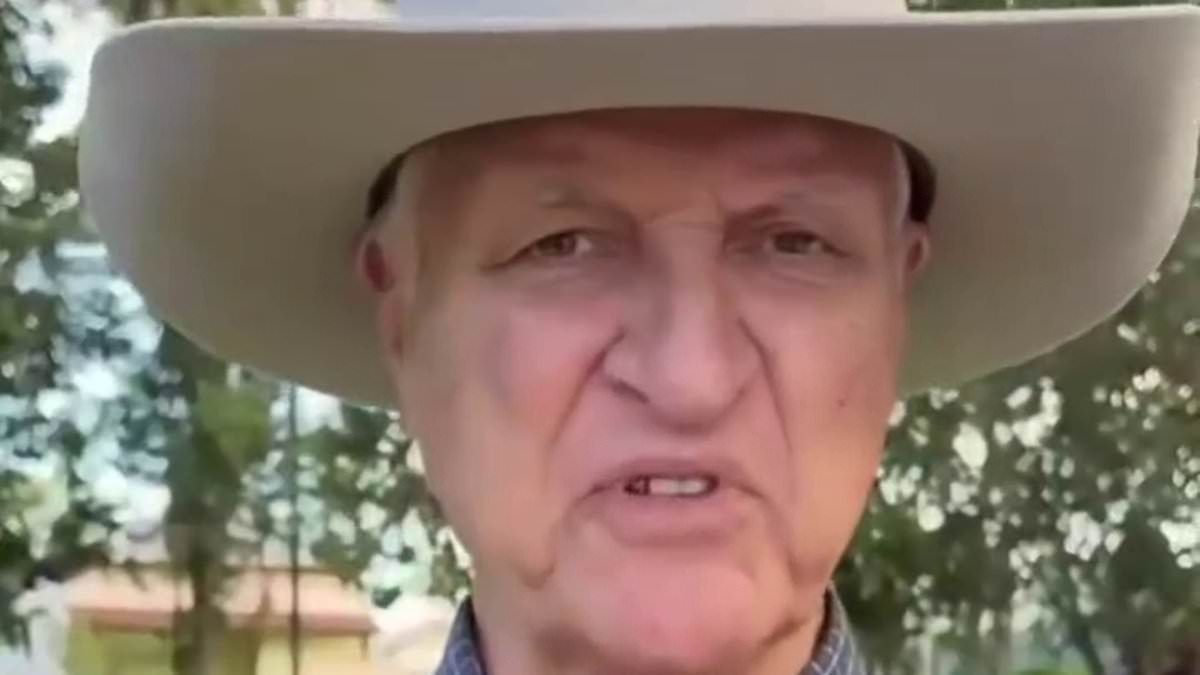 War of words erupts between Bob Katter and Terri Irwin as they clash over controversial croc culling bill