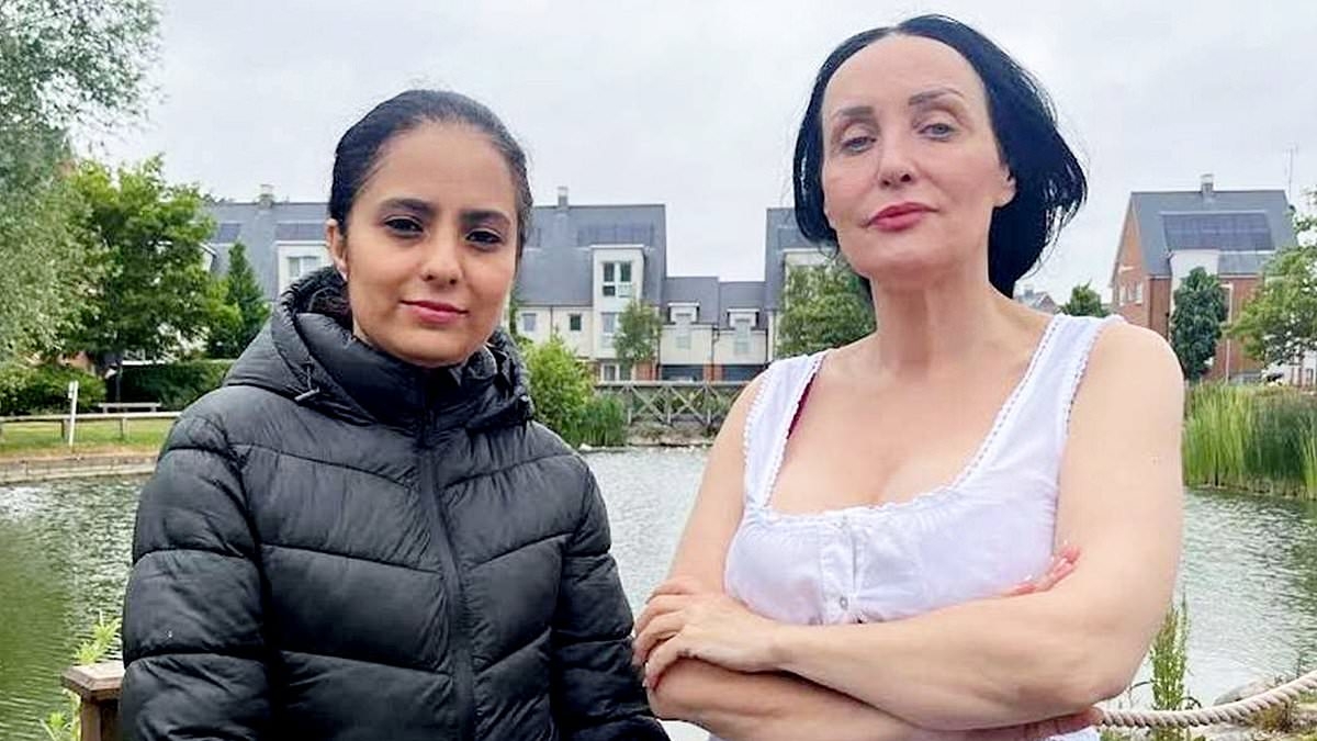 Calls for catapult ban as slingshot-wielding youths target angry mother and her children when she challenges them over attacks on animals