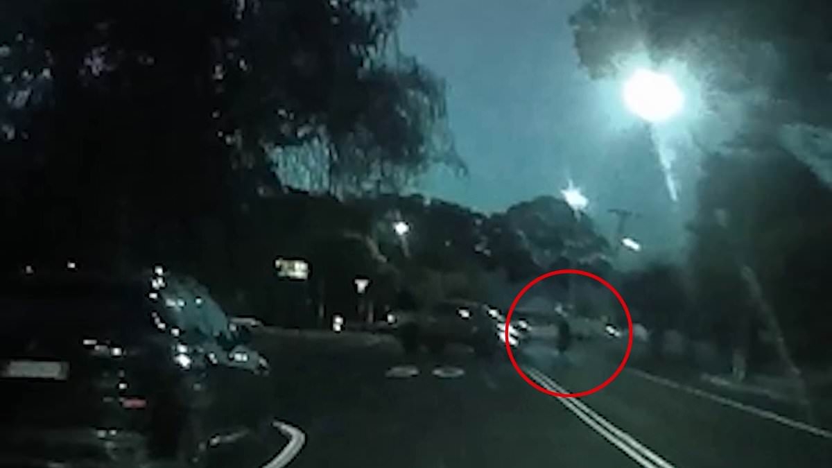 Disqualified driver accused of hitting and killing woman then fleeing the scene is named