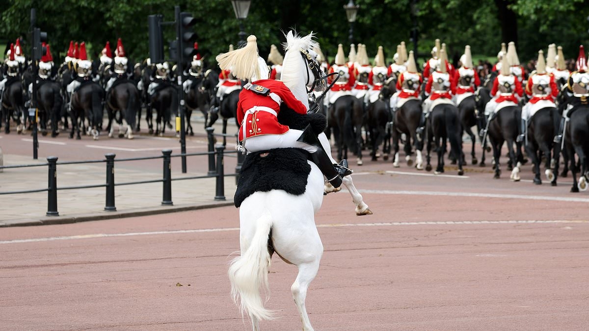 Tour de force! British soldiers don their finest uniforms for the Colonel's Review - the final dress rehearsal before Trooping the Colour next week