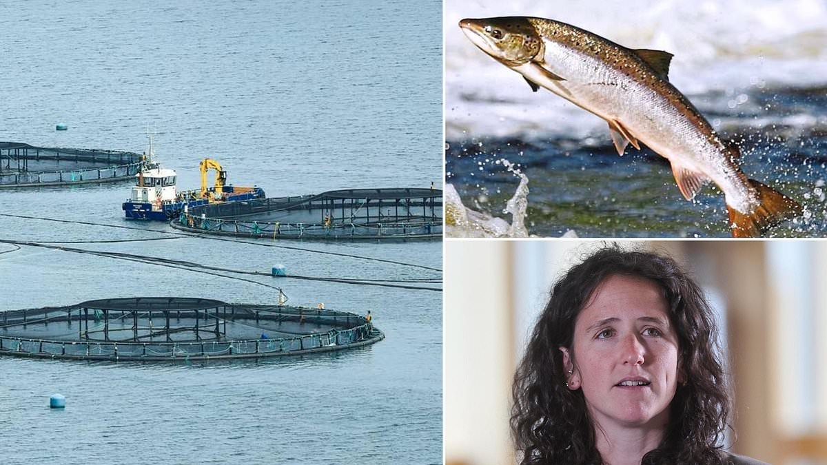 Threat to wild salmon as sea lice show resistance to chemical used to protect fish