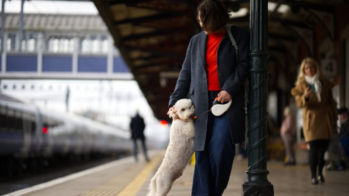 Almost half of all pet owners have CANCELLED a holiday to stay with their animals