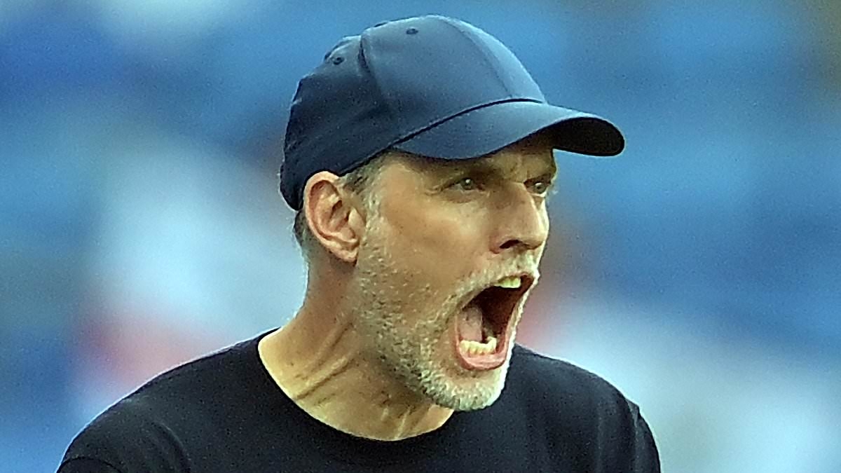 Furious Thomas Tuchel blasts his players' 'attitude and body language' in scathing verdict of England's dismal 1-0 win over Andorra... before sending clear message to booing fans