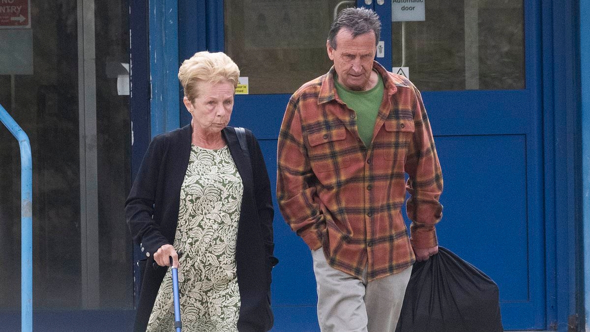 Taxpayer foots huge bill to prosecute 66-year-old grandmother for accidentally smashing the leg off a neighbour's garden gnome... that she'd already tried to pay for