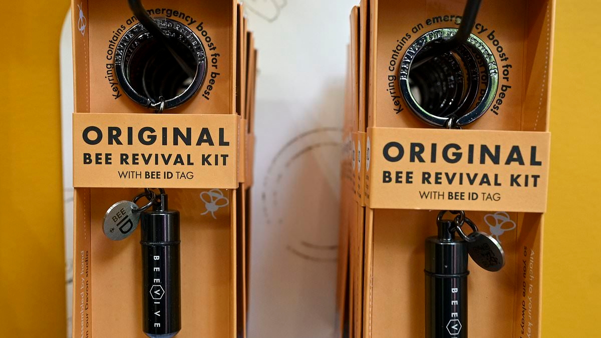 Business is buzzing for couple behind revival kits that rescue bees in need... while Wimbledon serves up an ace rival to strawberries with its very own honey