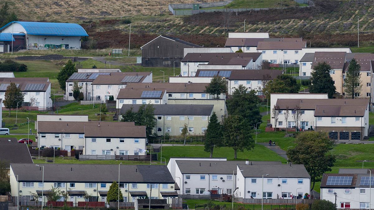 We live in Britain's 'most depressing' council estate - there's no pub or GP surgery and two-thirds of the homes have been demolished... but here's why it's not as bad as you might think