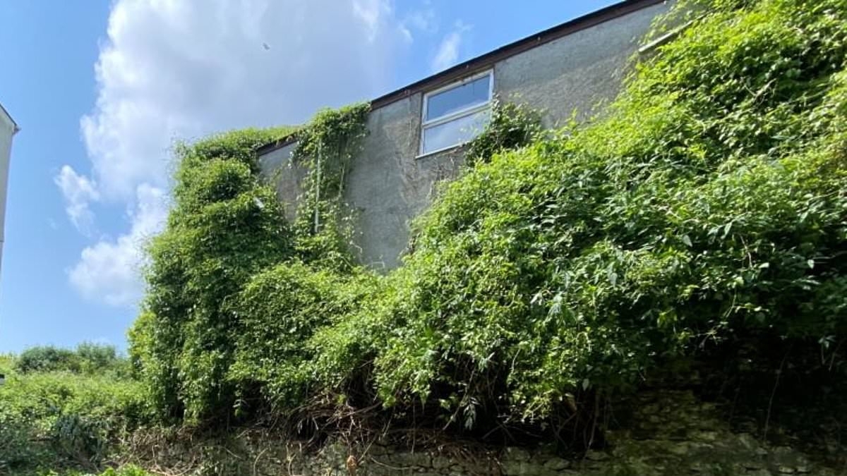 Two-bedroom home with breathtaking river views and spacious garden for sale at just £1 - but all is not what it seems