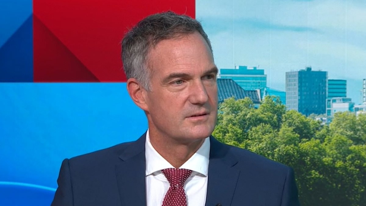 Police told to stop asking for more cash to fight crime and 'do their bit' to repair the economy by Labour minister ahead of Spending Review