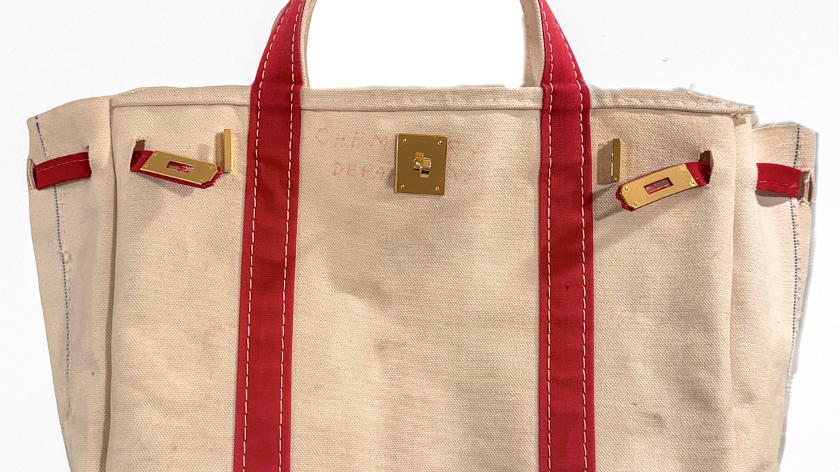 Internet divided over fresh twist on the pricey Birkin bag... So would you wear it?
