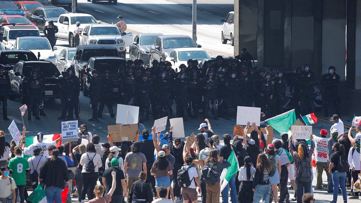 BREAKING NEWS Los Angeles erupts in anarchy as protesters storm major highway and clash with law enforcement