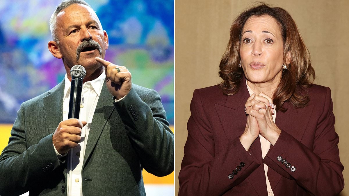 California sheriff blasts Kamala Harris' 'embarrassing' statement on LA anti-ICE riots