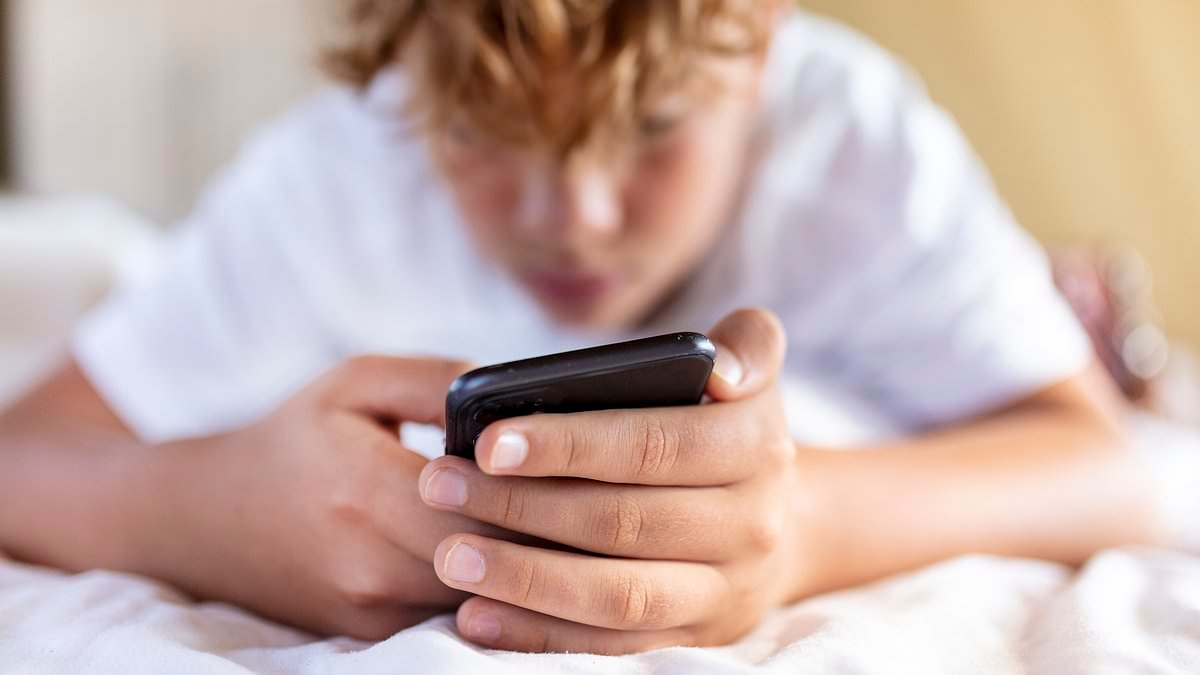 Social media curfews for children WON'T work - and could even create divides in friendships and lead to isolation, experts warn