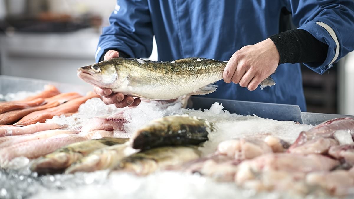 Fish feel PAIN just like humans, scientists say - as they call for common slaughter method to be halted immediately