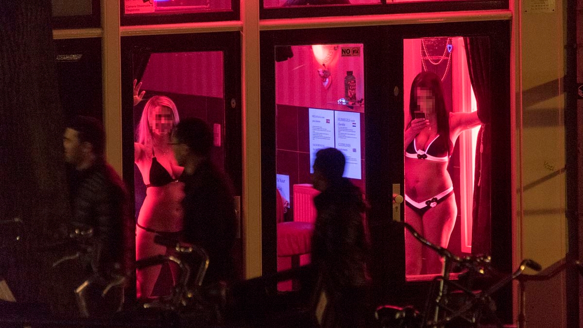 Amsterdam's plan to get rid of its red light district - by creating a five-storey mega-brothel 'erotic prison' filled with prostitutes and dumping it on another suburb