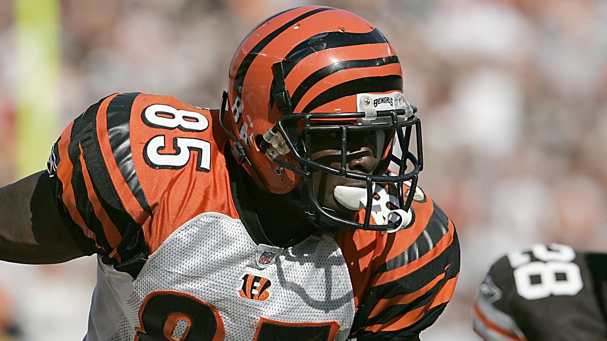 Controversial NFL star Chad 'Ochocinco' Johnson reveals he used to be a stripper in stunning confession