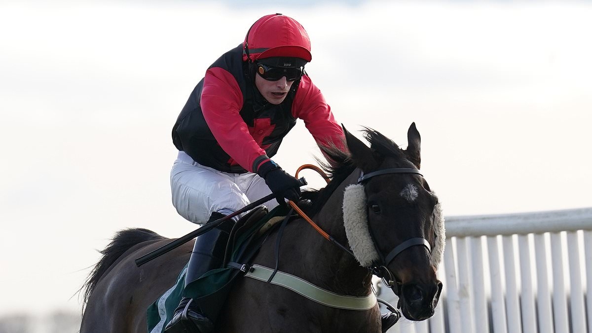 Robin Goodfellow's racing tips: Best bets for Tuesday, June 10