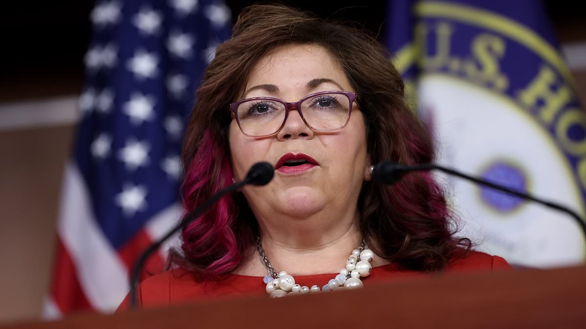 Democrat slammed for comparing violent LA riots to people 'getting overexcited'