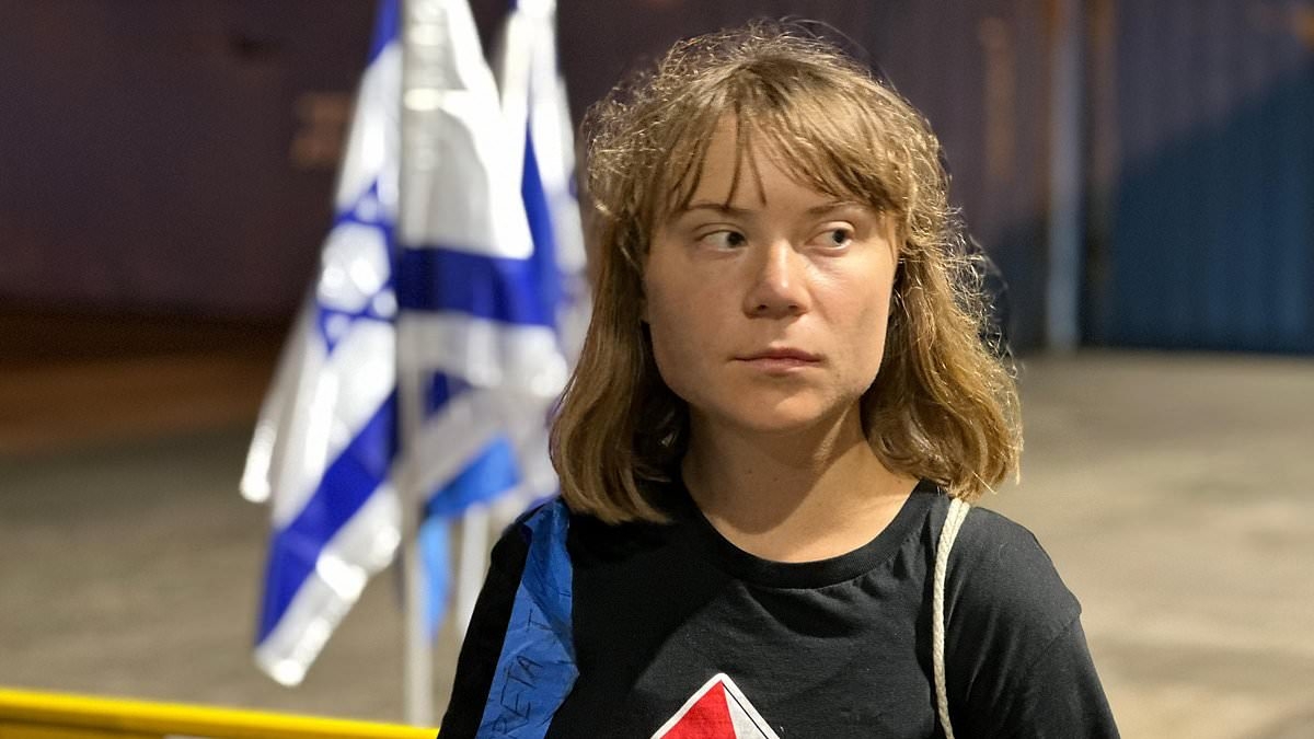 Greta Thunberg and 'freedom flotilla' activists are at airport and risk being deported, Israel says - after Greta Thunberg's lawyer demanded answers