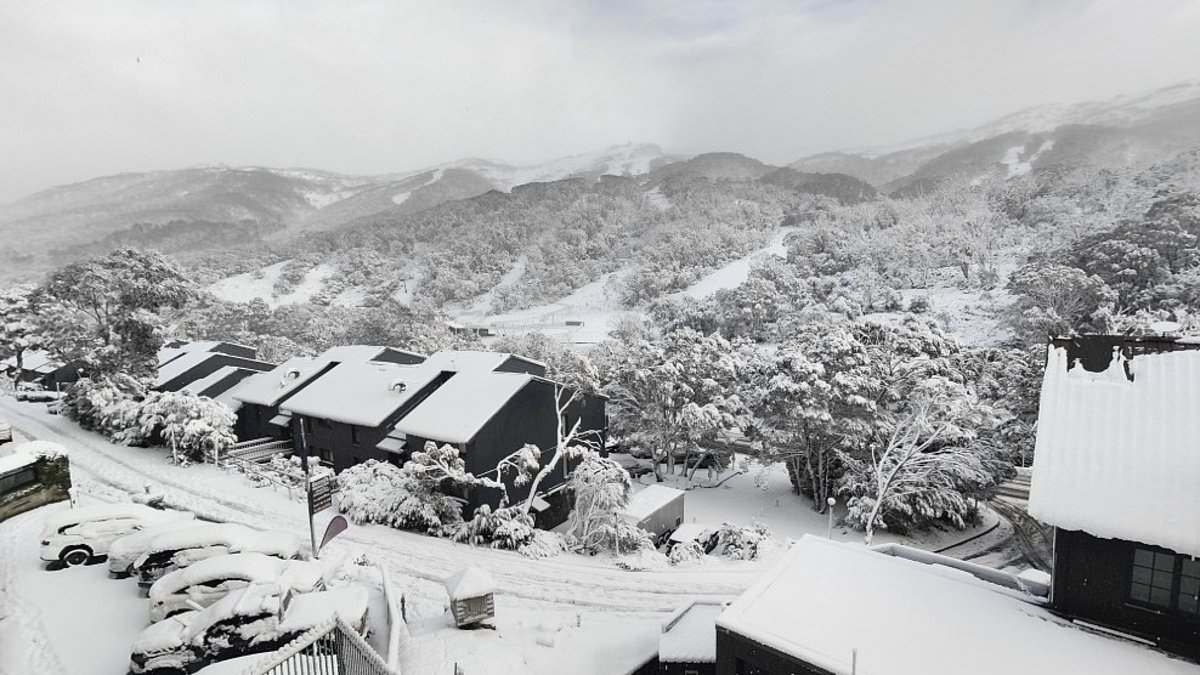 Brutal polar blast hits Australia: How cold it will get in Sydney, Brisbane, Melbourne and more