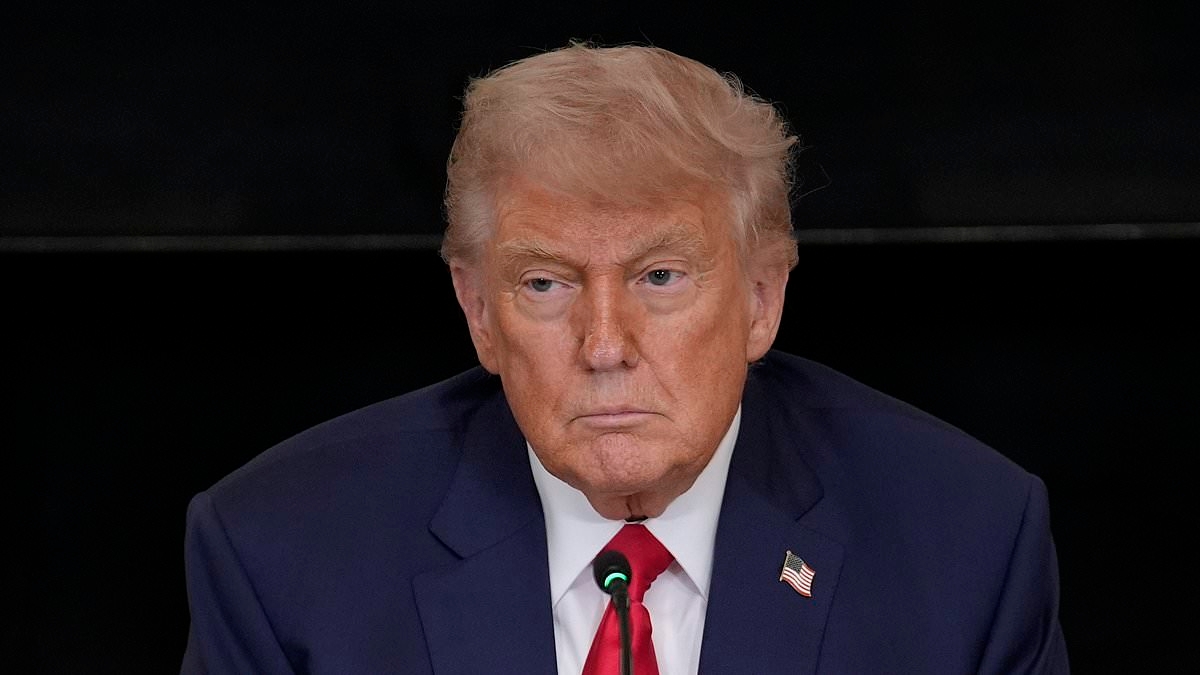 EXCLUSIVE Voters reveal if Trump would have won election without Elon Musk and weigh in on his new political party idea