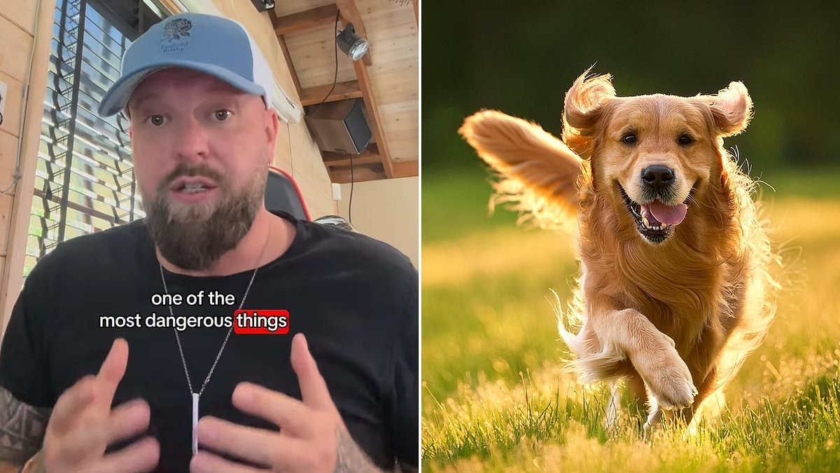 Dog trainer warns against 'deadly' act almost EVERY owner does with their pets every day