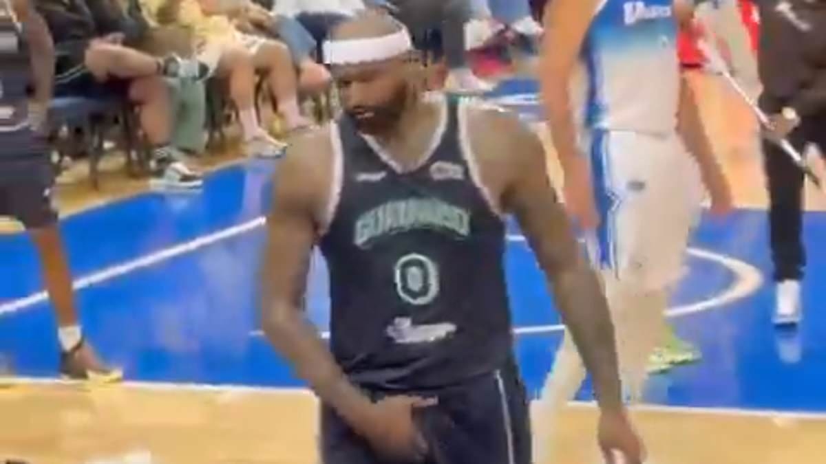 Moment ex-NBA superstar swings punches and brawls with fans after being ejected in shocking scenes
