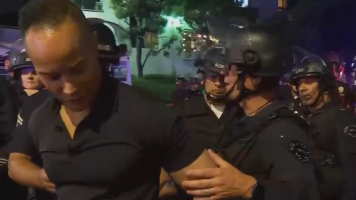 Astonishing moment CNN host realizes reporter is being detained by cops during live segment from LA riots