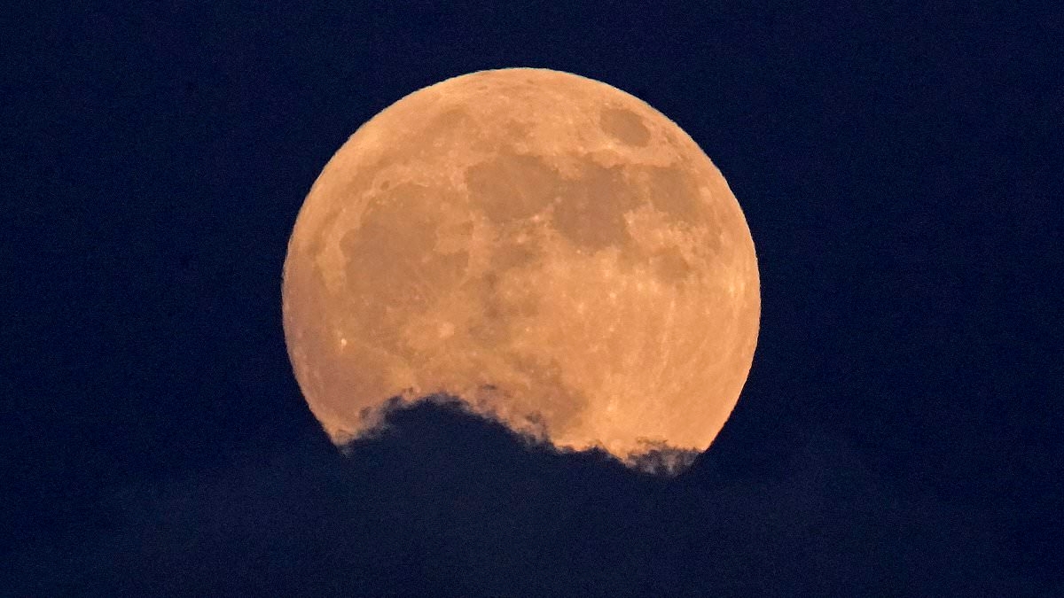 What tomorrow's Strawberry Moon means for your star sign - from exposing fake friendships for Taurus to forcing Cancer to confront negative patterns
