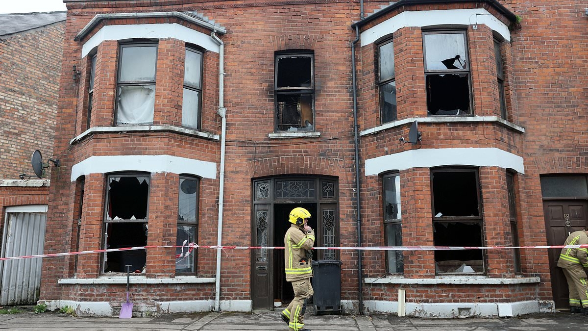 Rioters yelling 'paedo protectors' torch houses and injure cops with petrol bombs during anti-immigration protests after arrest of two 'Romanian' teens over attempted rape of girl