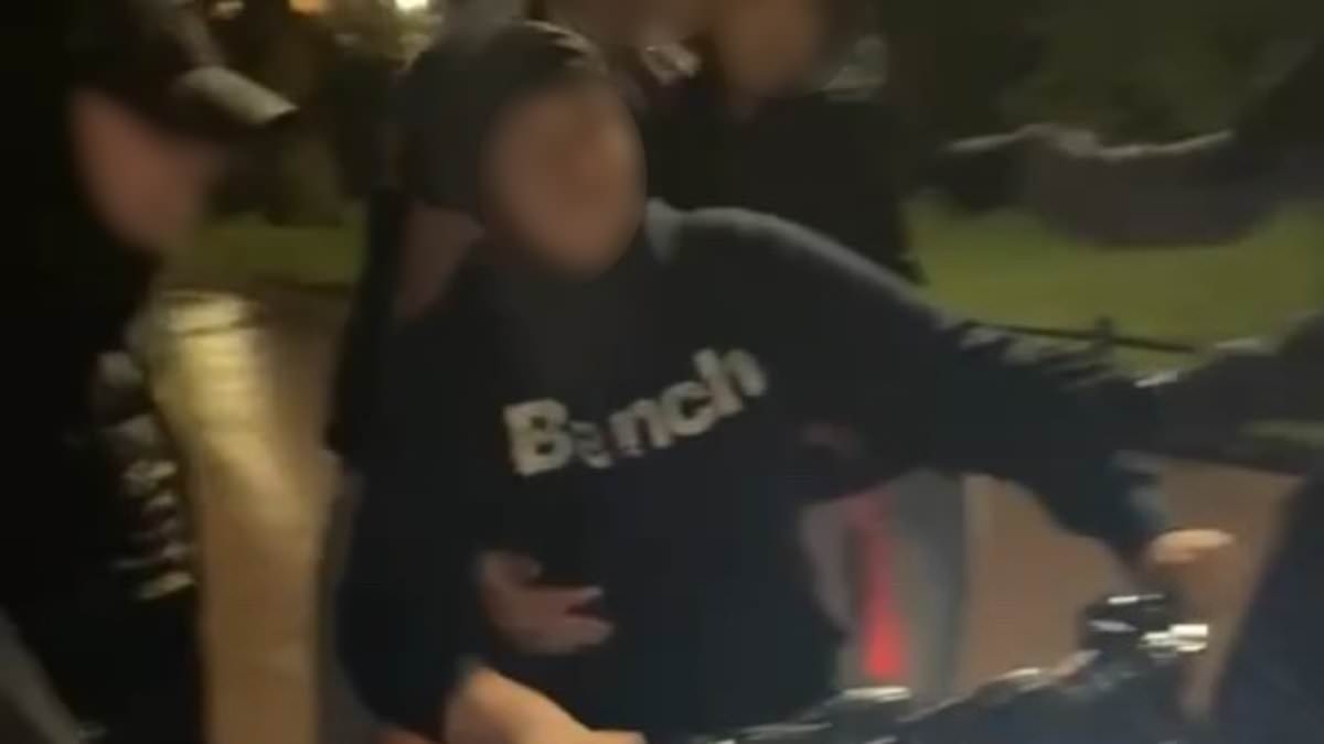 Motorcyclist's fury at 'shameless' reaction from mother of yob who was filmed joyriding his stolen bike as he hits out at 'atrocious' police response