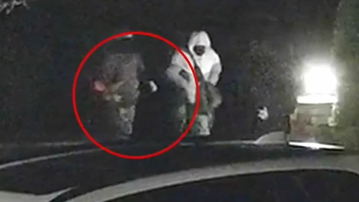 Key clue emerges from new video of Seattle burglary ring after suspect, 21, arrested for 'robbing NFL, MLB stars'