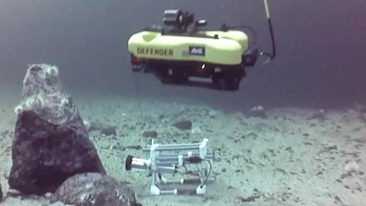 The underwater bomb robot fighting Putin's saboteurs: British defence experts develop sub to blast Russian targets threatening undersea cables and energy pipelines