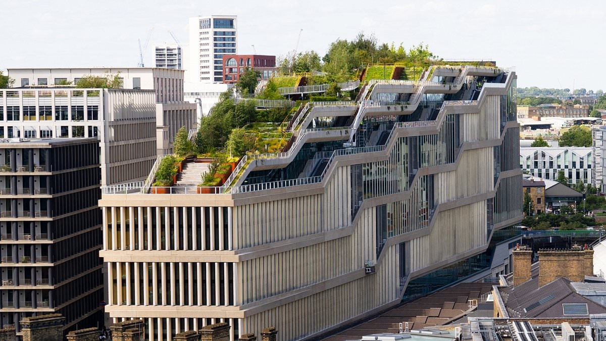 Google's £1billion London office invaded by foxes after they make for HQ's soil and 250-tree roof garden