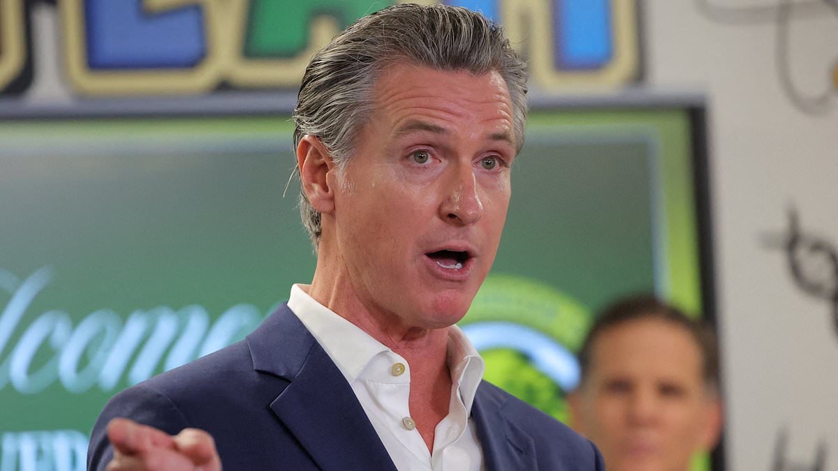 EXCLUSIVE Fox News' STEVE HILTON: Gavin Newsom just revealed the corrupt reason he let the LA riots spin out of control