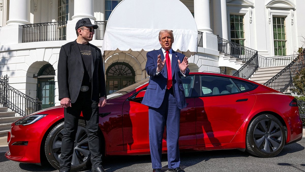 Mystery of Trump's vanishing Tesla as his purchase from Elon Musk disappears from outside White House