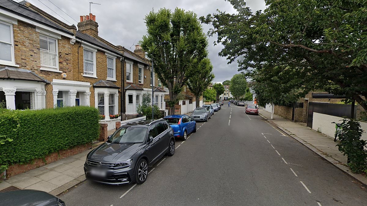 Homeless man battered Good Samaritan to death with a mallet in her £1.3m home days after she offered him shelter, court hears