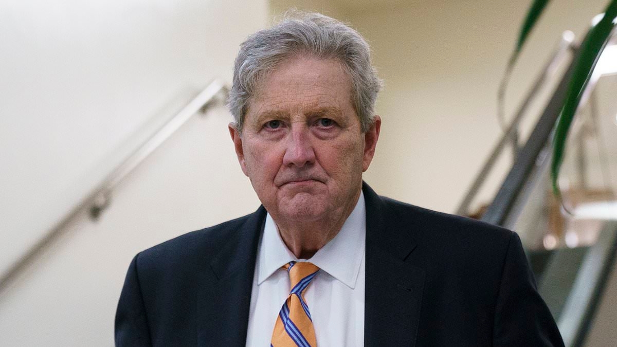 Senator drops savage takedown of Gavin Newsom's failures: 'He's a sheep in sheep's clothing'