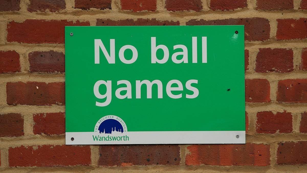 Government told to ditch 'NO BALL GAMES' signs and ban phones in schools after screens blamed for 50pc decline in time playing outside