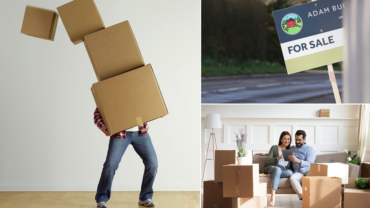 The 10 common blunders people make when they move home revealed by experts
