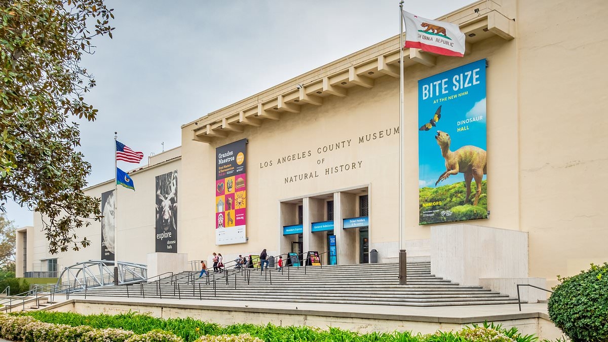 EXCLUSIVE Meghan Markle loses her chance to shine as LA Natural History Museum cancels glam gala as riots turn LA into a warzone
