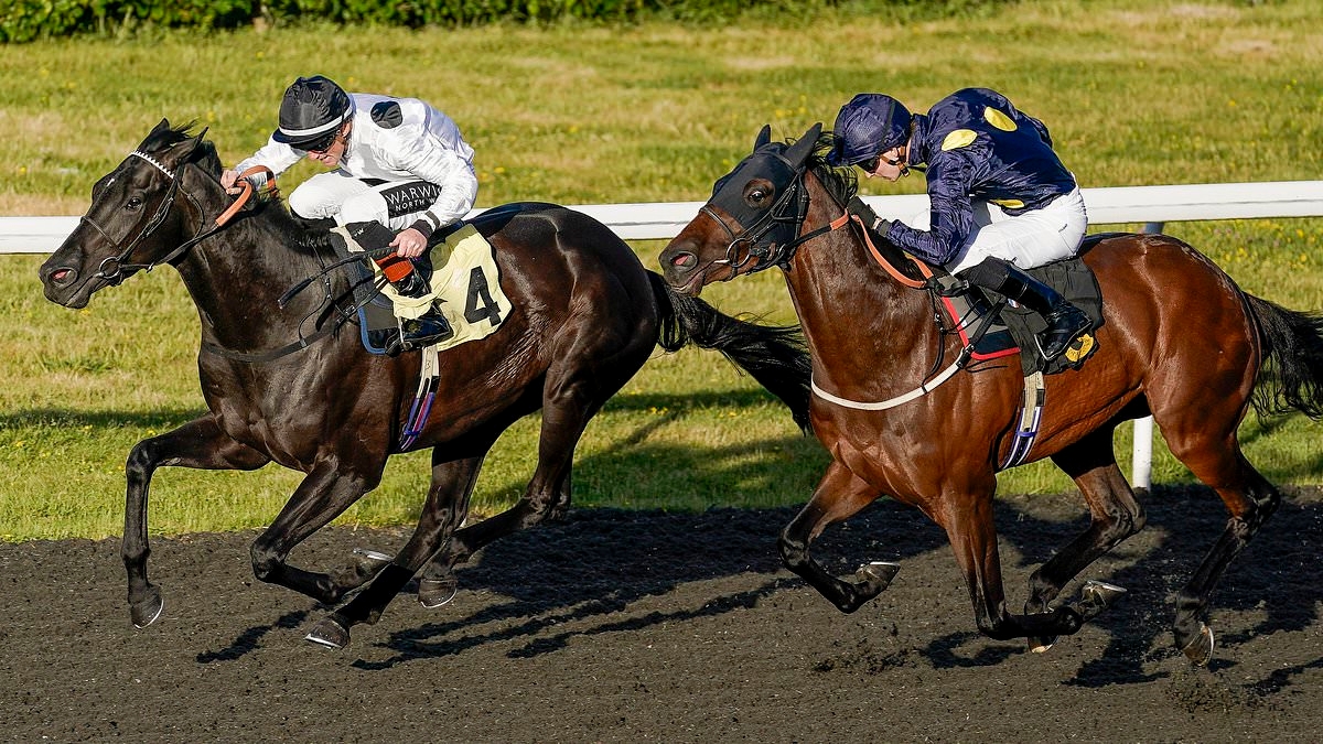 Robin Goodfellow's racing tips: Best bets for Wednesday, June 11
