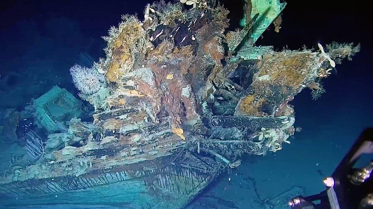 Treasures of 300-year-old shipwreck finally FOUND... as stunning photos reveal contents of $20BN trove