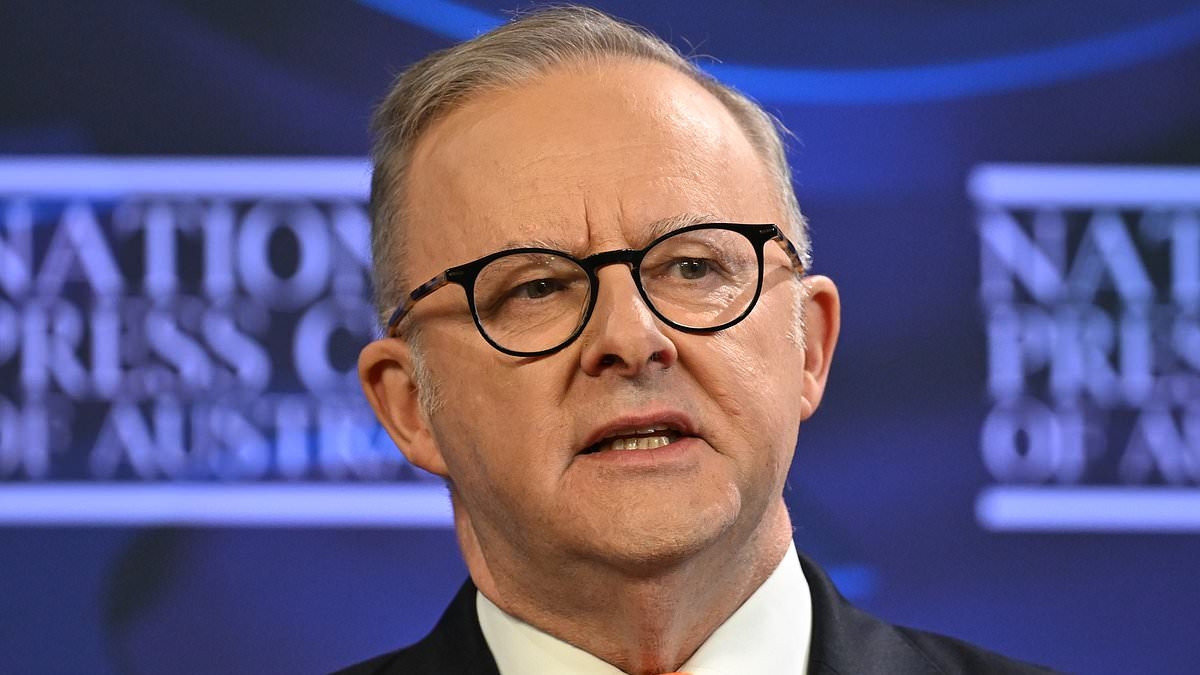 Anthony Albanese called out for missing a crucial detail about the rubber bullet shooting of an Aussie reporter in the LA riots